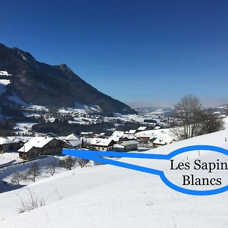 Vacheresse Les Sapins Blancs 아파트 외부 사진