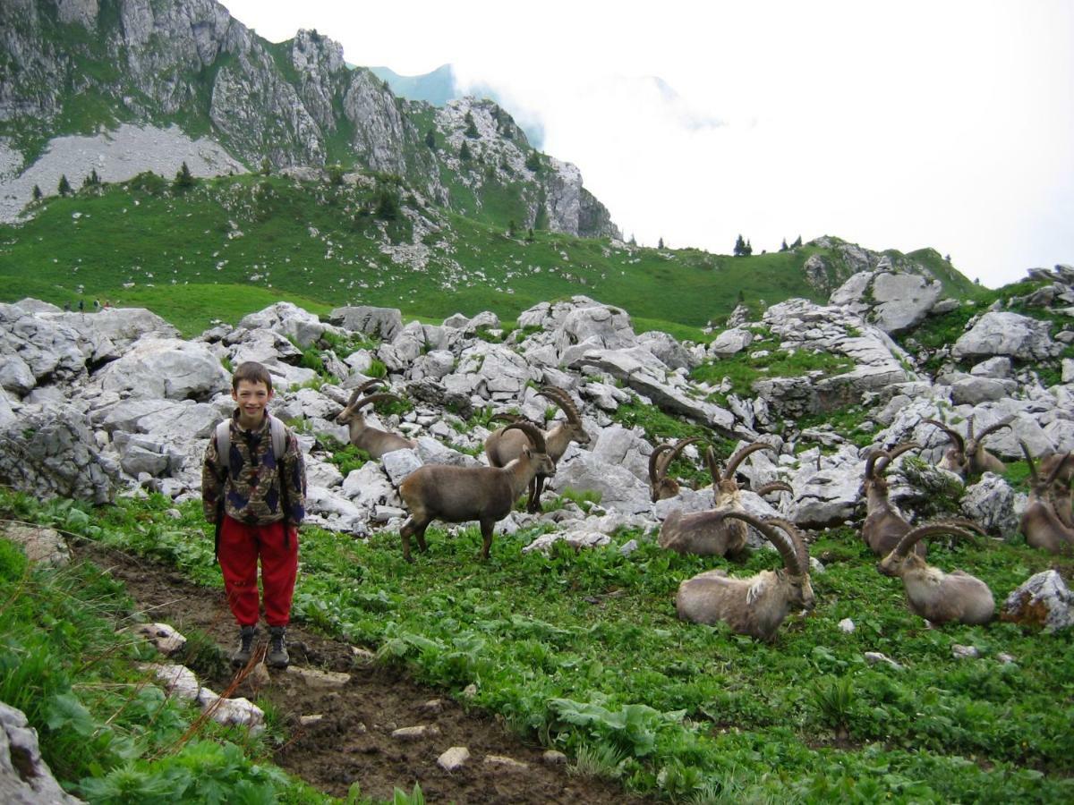 Vacheresse Les Sapins Blancs 아파트 외부 사진