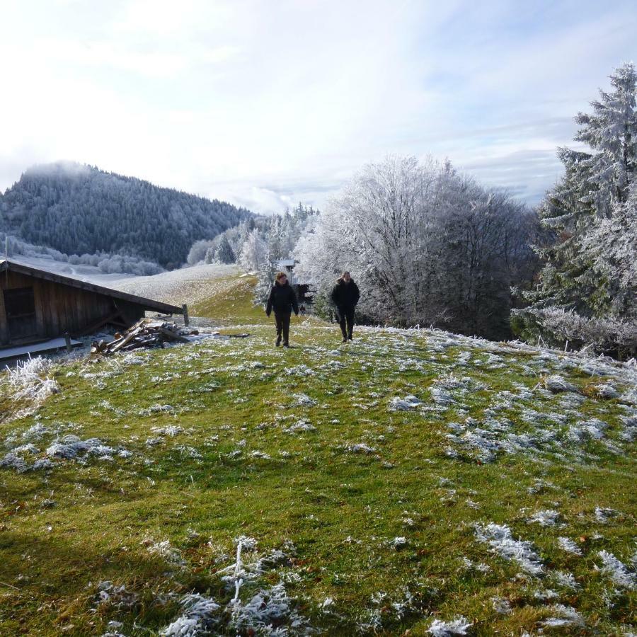 Vacheresse Les Sapins Blancs 아파트 외부 사진