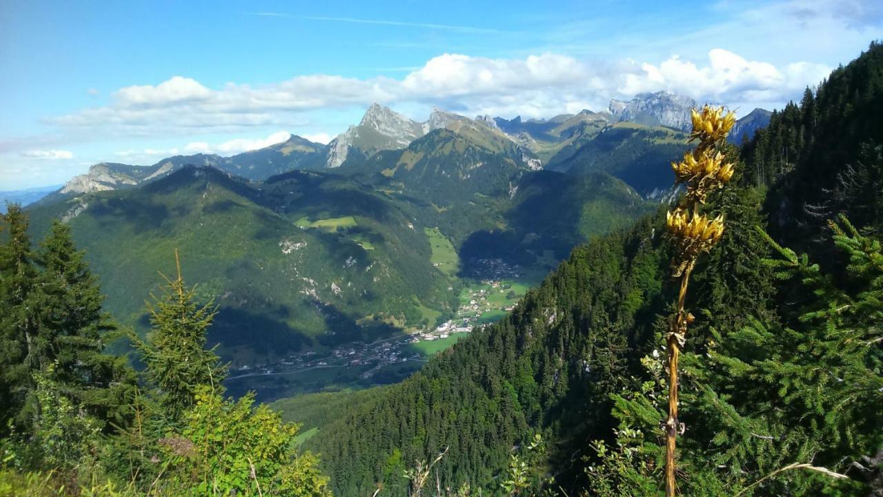 Vacheresse Les Sapins Blancs 아파트 외부 사진