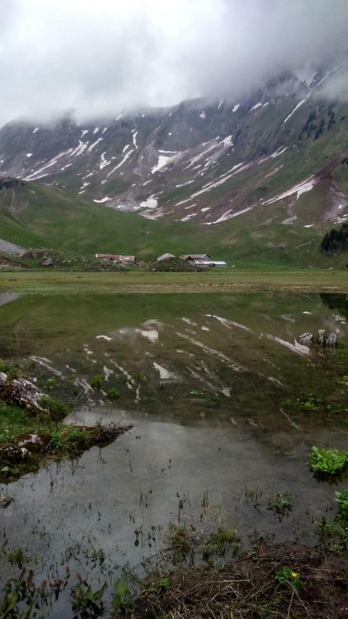 Vacheresse Les Sapins Blancs 아파트 외부 사진