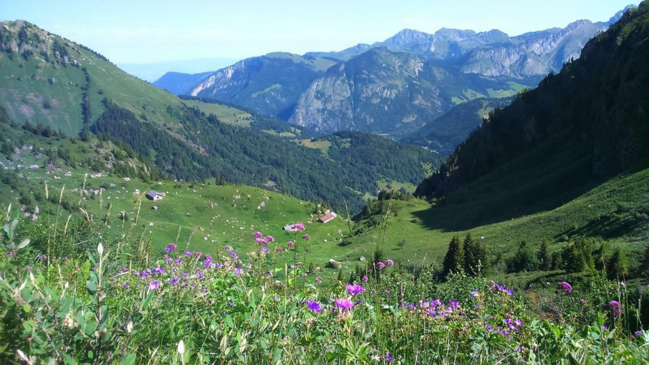 Vacheresse Les Sapins Blancs 아파트 외부 사진